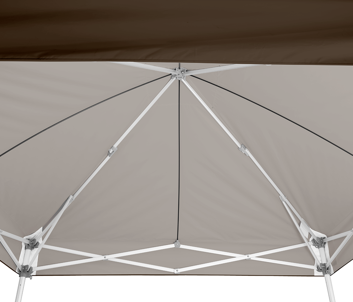 Endeavor™ MAX 10' x 10' Canopy