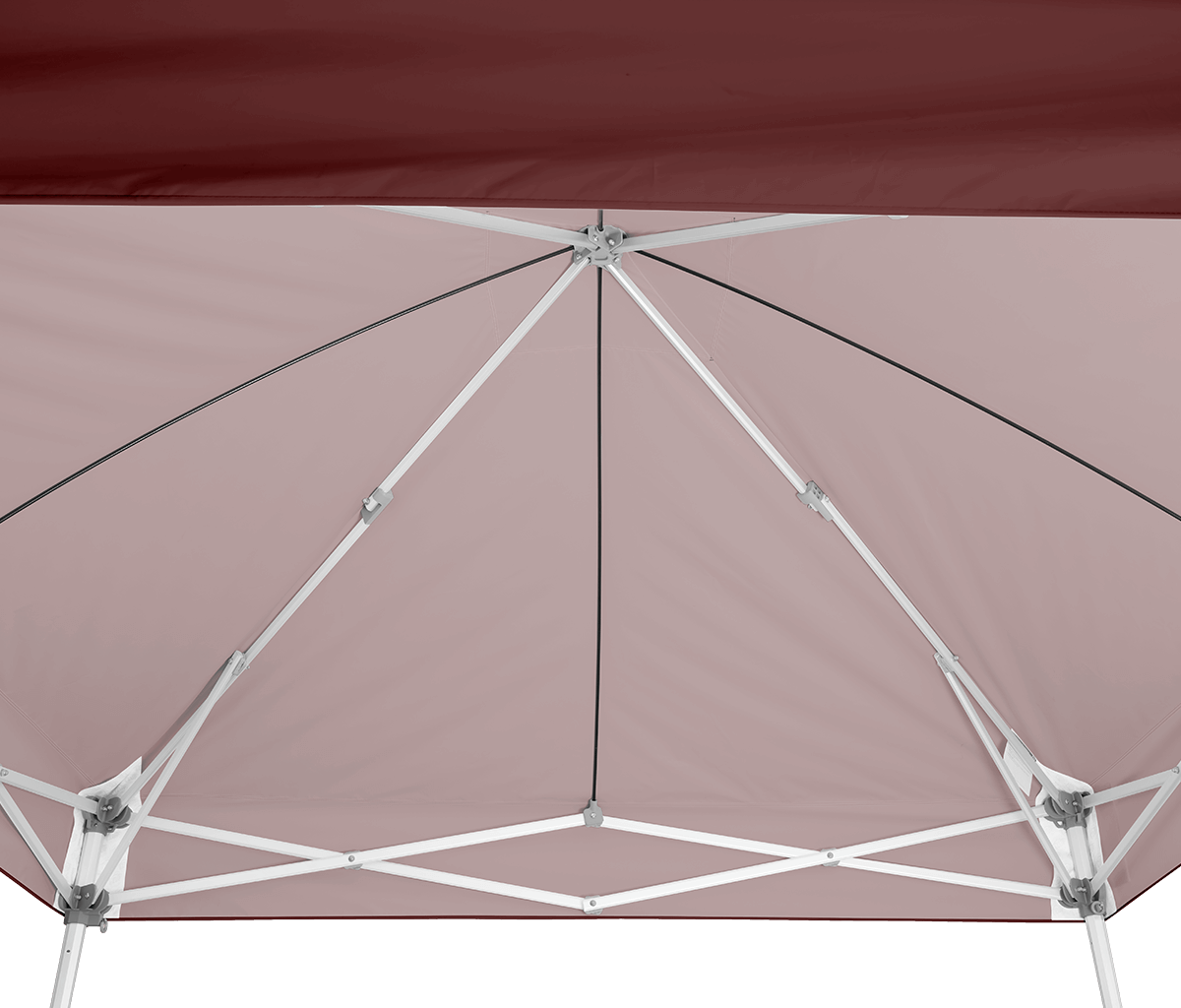 Endeavor™ MAX 10' x 10' Canopy