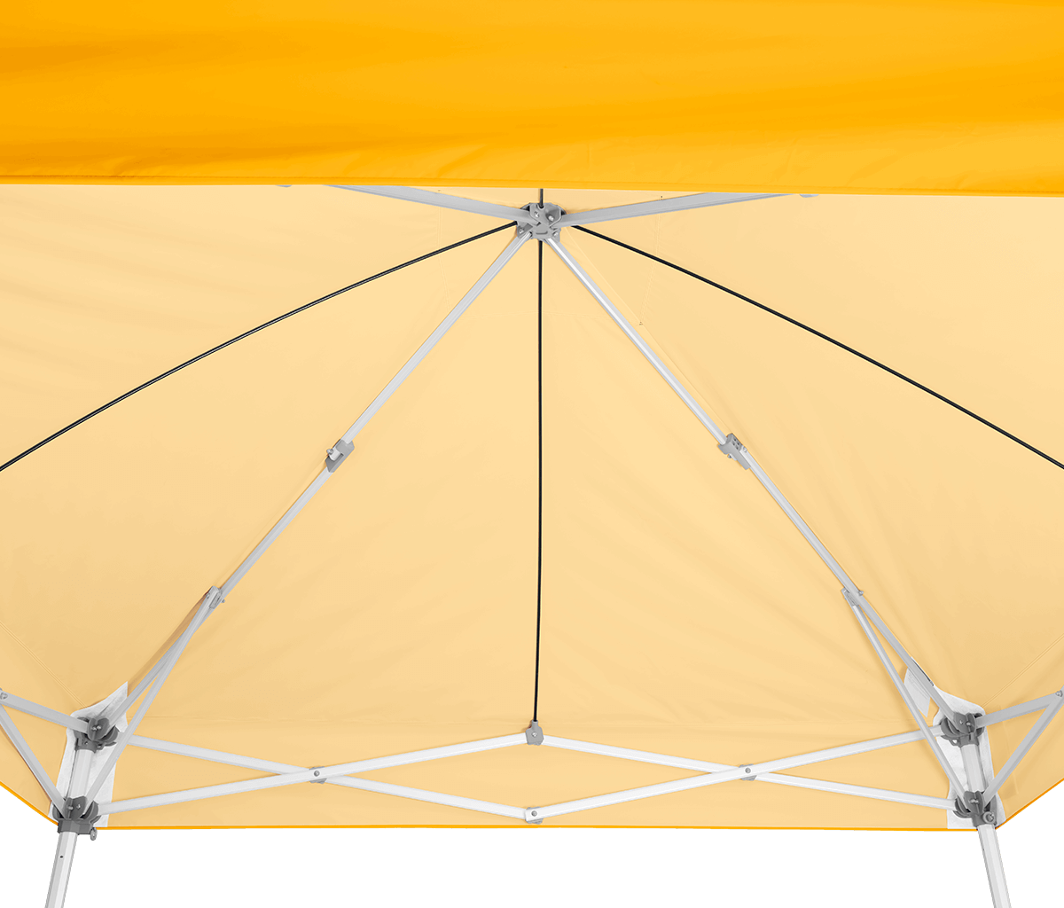 Endeavor™ MAX 10' x 10' Canopy