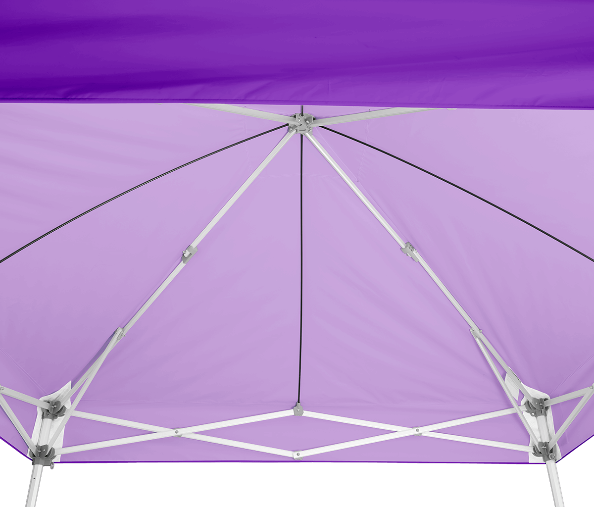 Endeavor™ MAX 10' x 10' Canopy