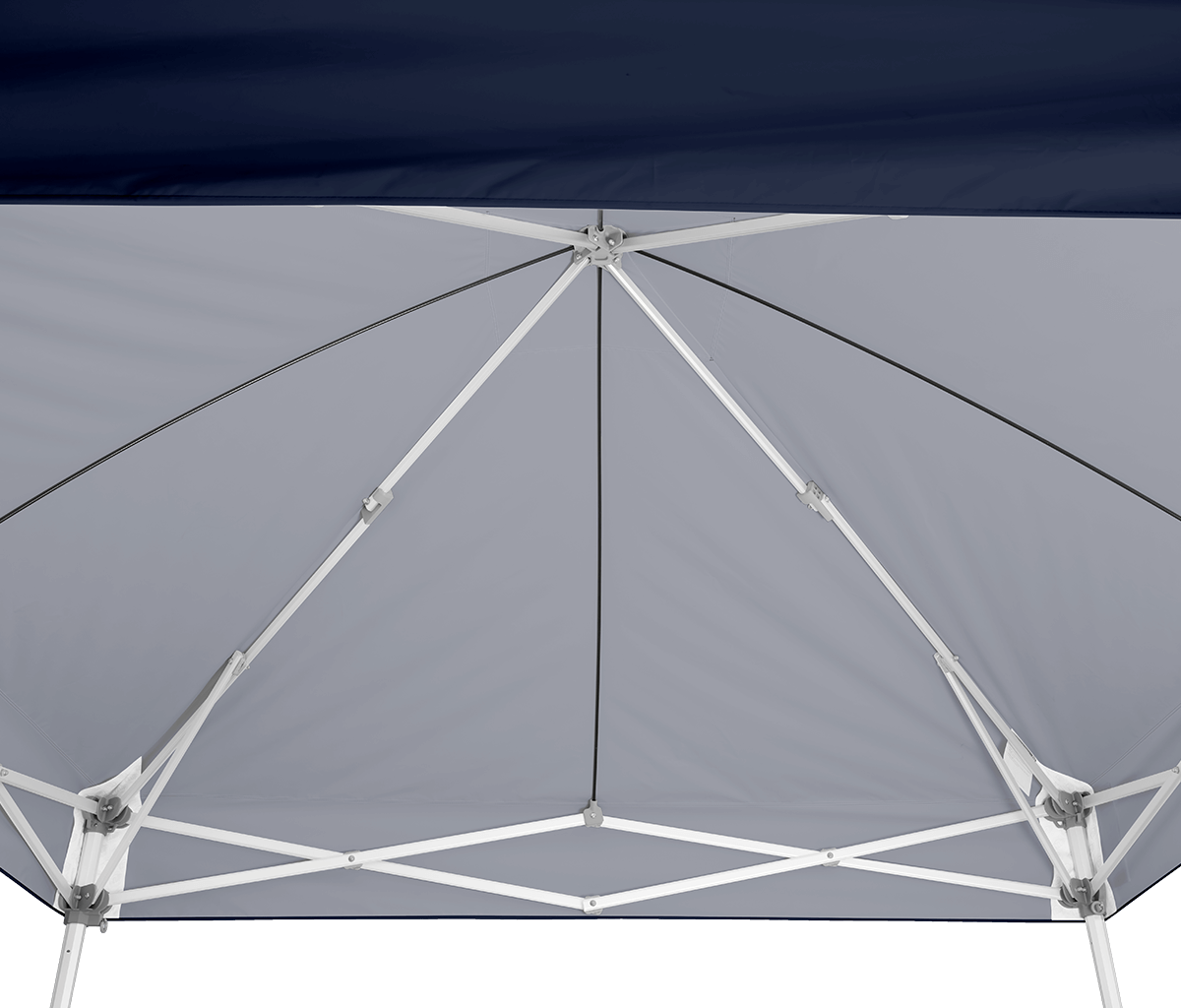 Endeavor™ MAX 10' x 10' Canopy