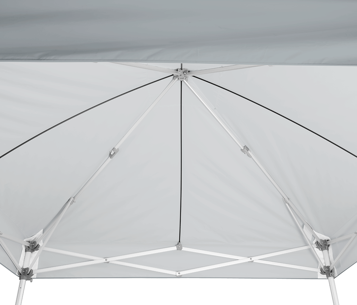 Endeavor™ MAX 10' x 10' Canopy