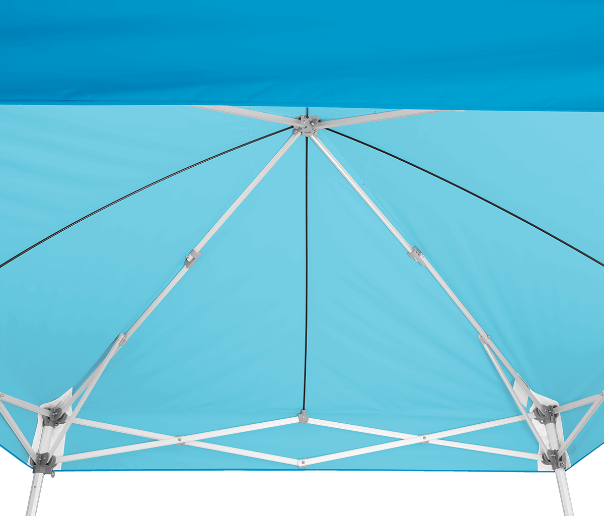 Endeavor™ MAX 10' x 10' Canopy